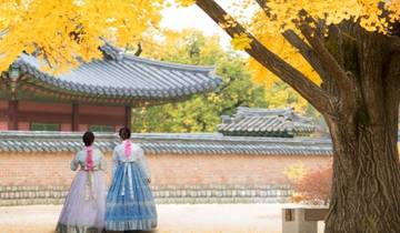 Circuito 18 Días Japón y Corea del Sur Tour Clásico (guía y conductor privados）Family Tour Personalizable