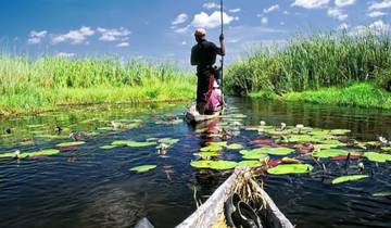 Safari de 3 jours dans le parc de Chobe et le delta de l'Okavango