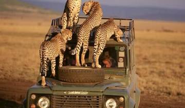 3-Day Okavango Mokoro & Camping Safari Adventure