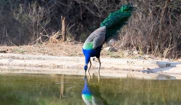 Inde : Une odyssée spirituelle et royale de 10 jours circuit