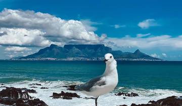 3-Day Cape Town Boat Cruise, Peninsula & Wine Tour