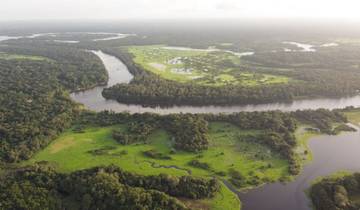 12 Days in the Wild: Brazil Amazon Experience