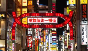 10 Days Japan & Korea Pop Culture Journey  (private guide and driver）Family Tour  Customizable