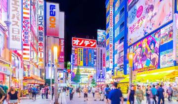 10 Days Japan & Korea Pop Culture Journey  (private guide and driver）Family Tour  Customizable