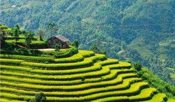 Sapa-Halong Bay 5-Day Tour 2025-2026 Tour