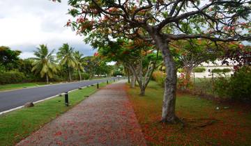 Vomo Island Fiji: 7-Night Luxury Escape in a Tropical Paradise