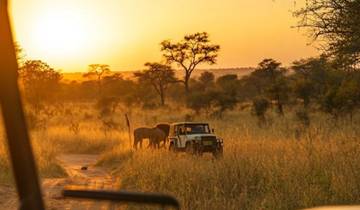 3-Day Elephants Plains Safari Adventure Tour