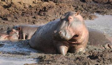8 DAYS WILD PLAINS OF TANZANIA Tour