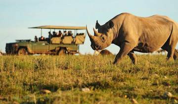 Safari de 4 jours pour les Big Five dans le Pilanesberg