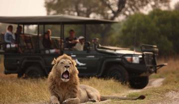 4-Day Budget Pilanesberg Big Five Safari