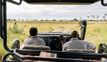 The Lion King Safari Tour – Mid-Range Journey Through the Circle of Life Tour