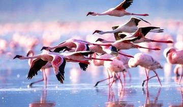 5Days, 4Nights Amboseli National Park Safari & Diani Beach Holiday Tour