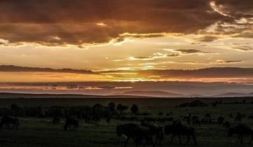 Kenya:6-Day Maasai Mara-Nakuru-Amboseli Classic Safari Tour