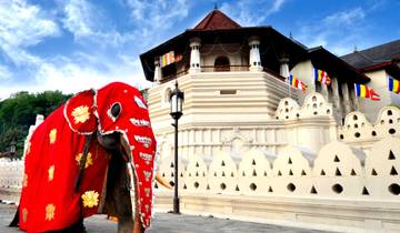 Odyssée culturelle au Sri Lanka circuit