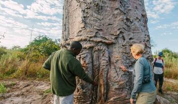 Kenia: 9 Tage Wildtierwunder und Küstenentspannung mit allen Mahlzeiten Rundreise