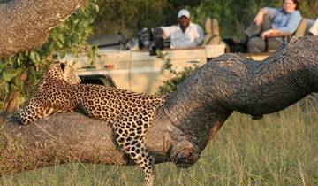 4 jours au Umkumbe Safari Lodge circuit