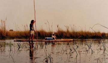 Safari de 4 jours avec les Big Five de Chobe et les mokoro du delta de l\'Okavango circuit