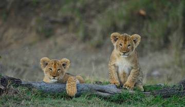 Lakes & Mountain Safari 10D/9N (Masai Mara, Lake Nakuru & Baringo, Samburu, Amboseli) Tour