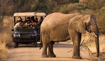 Safari de 4 jours avec camping pour les Big Five de Pilanesberg, en milieu de gamme