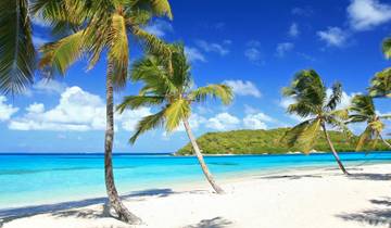 Les Caraïbes à la découverte des îles : De Saint-Martin à la Barbade
