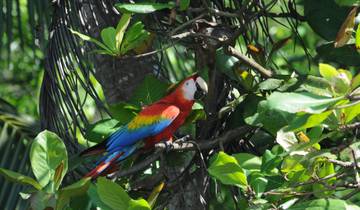 Coastal Adventures: Costa Rica & Panama