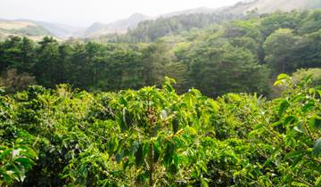 Coastal Adventures: Panama & Costa Rica