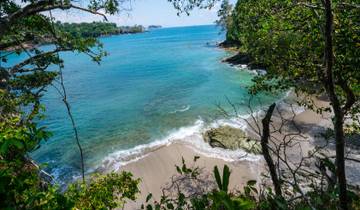Coastal Adventures: Panama & Costa Rica