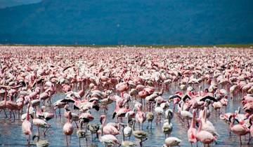Voyages : Expérience du safari au Kenya - National Geographic Journeys circuit