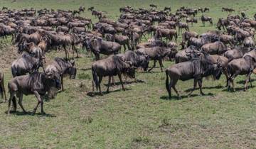 Kenia – een budget-rondreis – 6 dagen-rondreis