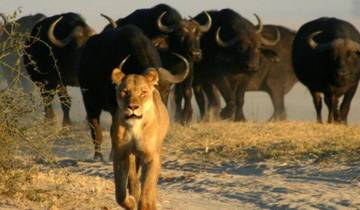 4-Day Victoria Falls Classic Tour Tour