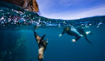 Ecuador und Galápagos Inseln Kreuzfahrt Guayaquil → Guayaquil (2026) Rundreise