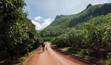 Chiang Mai au Mékong en vélo de montagne circuit