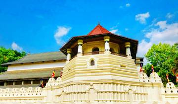 Sri Lanka 10 Days Tour Package with Private Driver Tour
