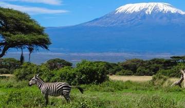 Kenya : 3 jours au Masai Mara en Land Cruiser circuit