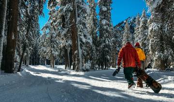 Mountain Collector | Canadian Ski Resort Road Trip