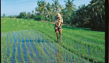Abenteuer Westbali & Ostjava (Gruppenreise) Rundreise