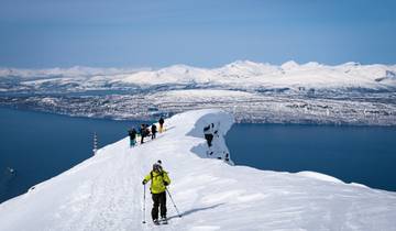 Expérience de ski à Narvik