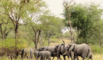 Uganda - In the Land of the Mountain Gorillas Tour