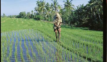 Adventure West Bali & East Java (private tour)