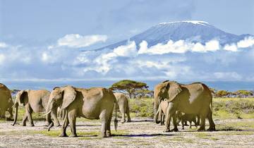 ADAC Special Kenya - Beyond Africa