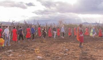 Kenia Masai Mara Mittelschwere Anschluss-Safari (3 Tage)