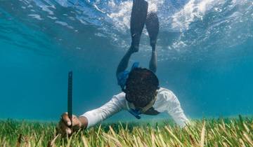 Central Maldives Discovery - 8 days Tour