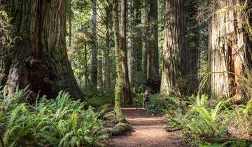 San Francisco, Redwoods & Vineyards (Women Only)  - 5 days