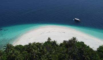 Maldives Sea Turtle Conservation Cruise - 8 days