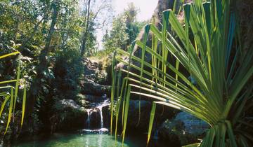 Madagascar - Lemurs and the sea