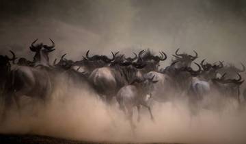 Masai Mara Safari - 4 x 4 Land Cruiser Privatreise - 3 Tage Rundreise