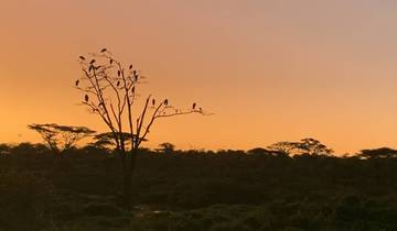 8 JOURS DE VACANCES INOUBLIABLES EN TANZANIE circuit