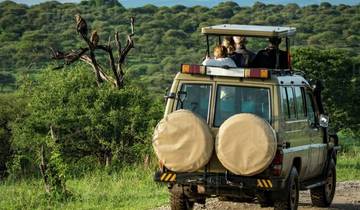 4 Tage private Safari & Heißluftballon-Abenteuer Rundreise