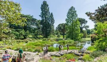Oxford, Cotswolds, Bath, Avebury & Cambridge - 6 Days (Small-Group)
