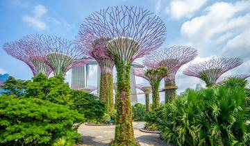 Les lumières de la ville aux vibrations de l'île : Singapour, Bali et Gili Escape